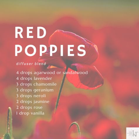 Red Poppies essential oil diffuser blend: 4 drops #agarwood or #sandalwood, 4 drops #lavender, 3 drops #chamomile, 3 drops #geranium, 3 drops #neroli, 2 drops #jasmine, 2 drops #rose, 1 drop #vanilla Geranium Essential Oil Diffuser Blends, Agarwood Essential Oil Blends, Neroli Essential Oil Blends, Geranium Essential Oil Blends, Rose Essential Oil Blends, Air Freshener Diy Essential Oils, Diy Perfume Recipes, Essential Oil Spray Recipes, Joy Essential Oil