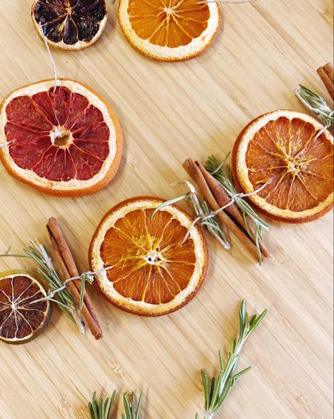 The best holiday DIY that works for Thanksgivng and Christmas! This dried citrus garland will take your holiday decor to the next level! Orange Garlands Christmas, Christmas Citrus Garland, Citrus Christmas Garland, Citrus Holiday Decor, Christmas Fruit Garland Diy, Diy Holiday Garland Xmas, Orange Christmas Garland Dried Fruit, Dehydrated Citrus Garland, Dried Citrus Garland Christmas