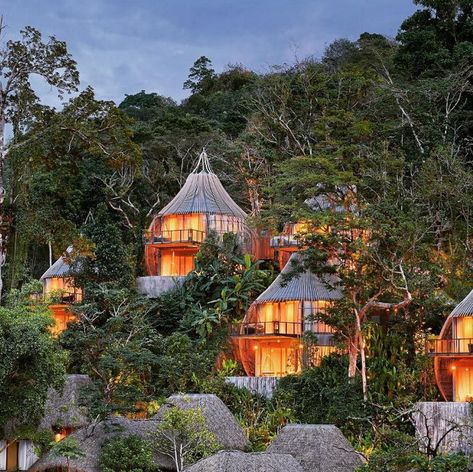 The bird nest villas in Keemala resort, Phuket Keemala Phuket, Forest Resort, Hacienda Homes, Treehouse Hotel, Tree House Diy, Dnd Campaign, Tree House Designs, Ao Nang, Resort Design