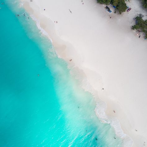 Eagle Beach is the Caribbean's most beautiful white sand beach, famous for pristine scenery, Fofoti trees, nesting Sea Turtles and great water sports. Sea Turtles, White Sand Beach, White Sand, Aruba, The Caribbean, Water Sports, Sea Turtle, Clear Water, Turtles