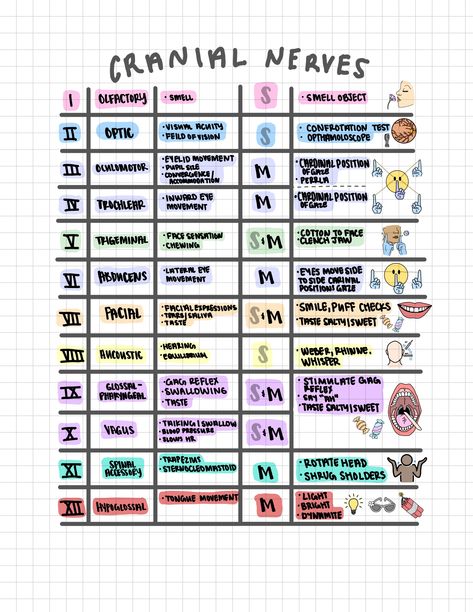 Peri Operative Nursing, Epic Charting System Nursing, Gi Medications Nursing, Nursing School Essentials, Dental Nursing, Nursing School Prep, Bsn Nursing, Medications Nursing, Nursing School Studying Cheat Sheets