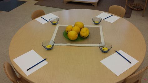 Sukkot Provocations, Provocation Ideas, Reggio Provocations, Emergent Curriculum, Sukkot, Play Based, Reggio Emilia, Limes, Lemon Lime