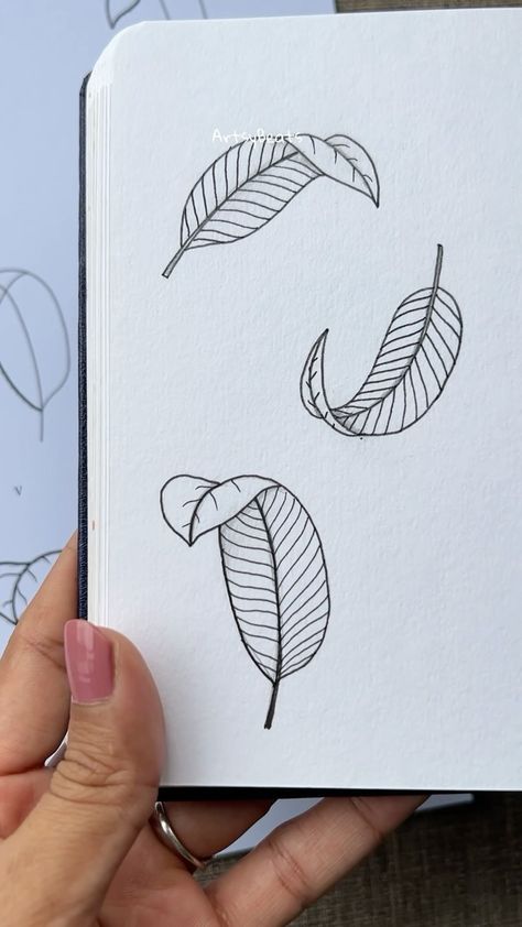 Basic Leaf Drawing, Pathos Plant Drawing, Doodle Art Leaves, Drawing Leaves Step By Step, How To Draw Leaves, Doodles Mandala, Pathos Plant, 2024 Drawing, Leaf Cartoon