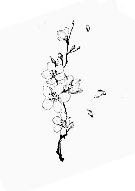 Sakura Tattoo Black And White, Japanese Branch Tattoo, Abstract Cherry Blossom Tattoo, Plum Blossom Tattoo Black And White, Sakura Branch Tattoo, Japanese Rib Tattoo, Mugunghwa Tattoo, Cherry Blossom Tattoo Black And White, Cherry Blossom Hip Tattoo