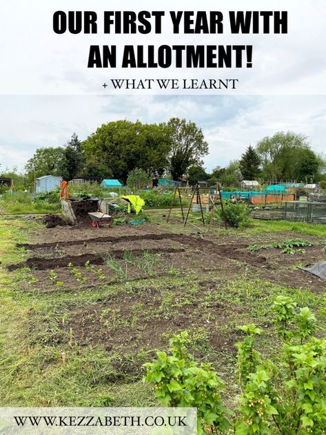 Beautiful Allotments, Allotment Ideas Budget, Allotment Ideas Inspiration, Allotment Plan, Allotment Ideas, Allotment Gardening, Community Garden, Growing Fruit, Diy Renovation