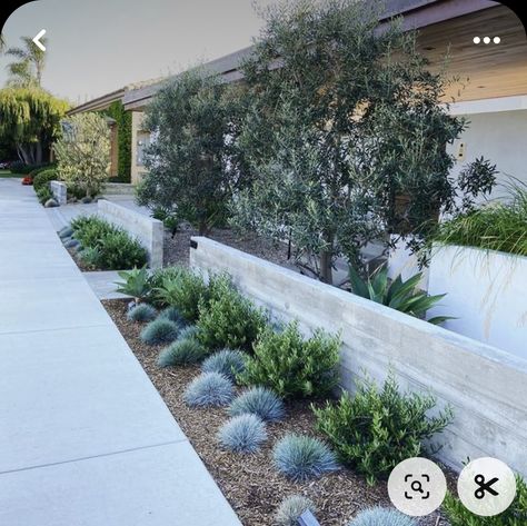 Retaining Wall Garden Front Yard, California Landscaping, Coastal Landscaping, Australian Native Garden, Front Garden Landscape, Landscaping Retaining Walls, Front Garden Design, Australian Garden, Front Landscaping