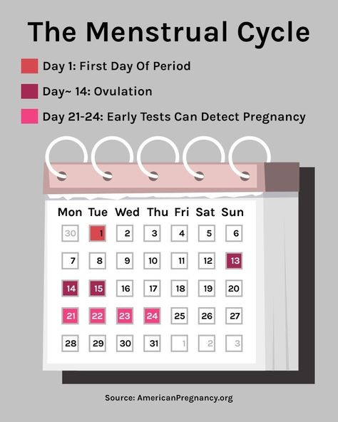 Perky 3 Month Ovulation Calendar Calculator Calendars can be bought in PDF together with Ms Message formats. Specific date for launch of notification, however, might change. Please note the reve... Period Journal, Menstrual Cycle Calendar, What Is Ovulation, Cycle Chart, Ovulation Symptoms, Fertility Calendar, Ovulation Calendar, Ovulation Calculator, Pregnant Tips