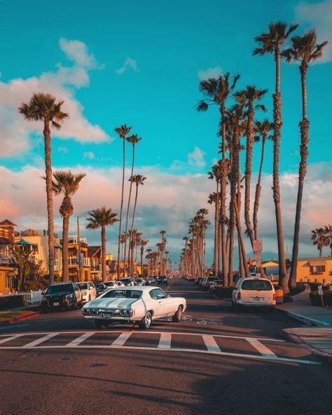 Southern California Wallpapers - Top Free Southern California Backgrounds - WallpaperAccess Socal Aesthetic, California Aesthetic, California Palm Trees, Palm Trees Wallpaper, Magic Places, Travel Wallpaper, Aesthetic Background, Aesthetic Blue, California Dreaming