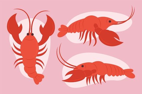 Cartoon Crawfish, Crawfish Illustration, Crawfish Drawing, Swamp Craft, Draw Animals, Tshirt Ideas, Vector Hand, How To, Flat Design