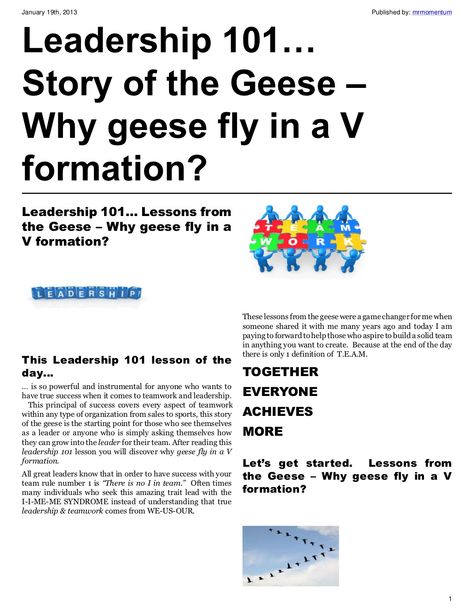 leadership-101-story-of-the-geese-why-geese-fly-in-a-v-formation by Nicholas Guzman via Slideshare Leadership Short Stories, Wild Geese Poem, Something Told The Wild Geese Poem, Leadership Stories, Geese Flying Formation, Effective Leadership Skills, Workplace Quotes, Brine Shrimp, Effective Leadership