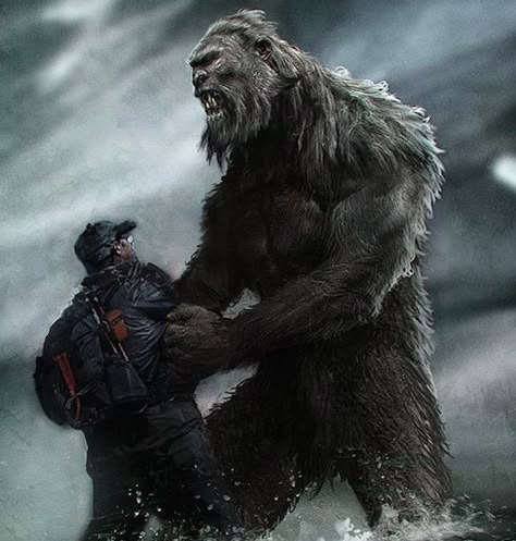 Bigfoot Encounters, Mountain Monsters, Bigfoot Pictures, Yeti Bigfoot, Bigfoot Art, Mysterious Universe, Bigfoot Sightings, Unexplained Mysteries, Bigfoot Sasquatch