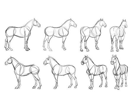 Horse Body Drawing, Body Drawing Base, Horse Sketches, Animal Animation, Drawing Horses, Realistic Animal Drawings, Spirit Stallion, Fire Icons, Horse Sketch