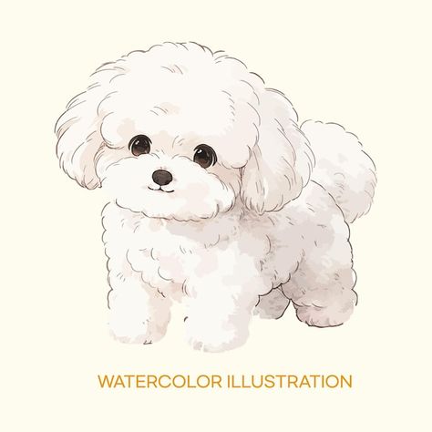 A drawing of a poodle called the waterco... | Premium Vector #Freepik #vector #puppy-illustration #cute-dog-illustration #poodle-dog-illustration #poodle-pose-illustration Poodle Puppy Drawing, How To Draw A Doodle Dog, Cute Dogs Illustration, Poodle Art Drawing, Cute Poodle Drawing, Simple Puppy Drawing, Poodle Drawing Easy, Dog Poses Drawing, Poodle Dog Drawing