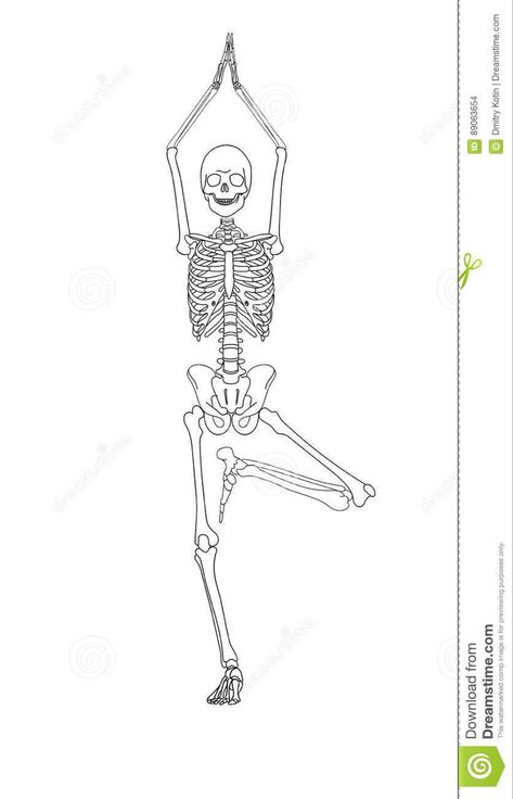 Skeleton Doing Yoga Tattoo, Skeletons Doing Yoga, Yoga Skeleton Tattoo, Skeleton Line Art, Skeleton Ideas, Yoga Skeleton, Yoga Tree Pose, Yoga Drawing, Fly Drawing