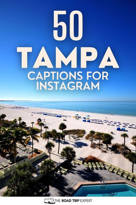 Tampa Captions for Instagram Captions For Instagram Photos, Florida Quotes, Florida Girl, Good Instagram Captions, Quotes For Instagram, Dairy Queen, Cool Captions, Captions For Instagram, Calum Hood