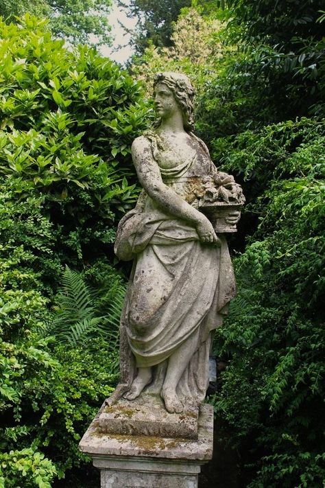 Statue Drawing, Roman Garden, Stone Garden Statues, Irish Garden, Living Statue, Lost Garden, Roman Statue, Outdoor Garden Statues, Nature Projects