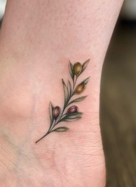 Evil Eye Olive Branch Tattoo, Watercolor Olive Branch Tattoo, Olive Branch Half Sleeve Tattoo, Sparrow Olive Branch Tattoo, Green Olive Branch Tattoo, Botanical Olive Branch Tattoo, Delicate Olive Branch Tattoo Simple, Small Olive Branch Tattoo Simple, Olive Branch Tattoos For Women