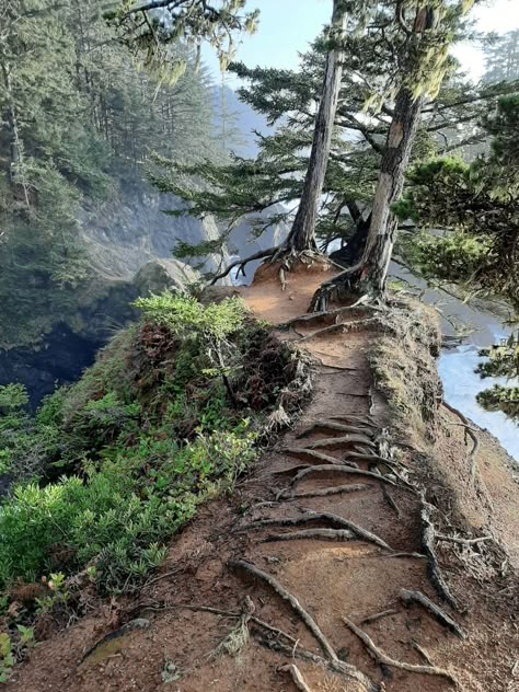 Southern Oregon Coast, Southern Oregon, Natural Bridge, Pretty Landscapes, Oregon Travel, Crashing Waves, Oregon Coast, Magical Places, Pacific Ocean