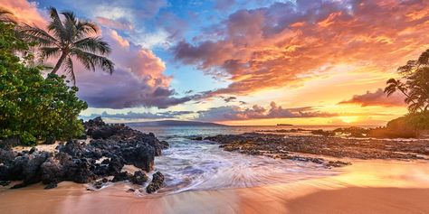 Panorama Photography, Panoramic Photography, Forest Scenery, Beach Landscape, Photography Gallery, Photography Prints Art, Alam Yang Indah, Ocean Photography, Virginia Beach