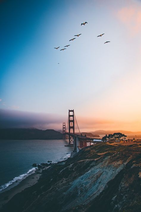 Golden Gate Bridge, San Francisco photo – Free Nature Image on Unsplash Iphone Wallpaper Travel, Bridge Wallpaper, Wallpaper Travel, San Francisco Photos, Travel Wallpaper, Ocean Wallpaper, Backgrounds Phone Wallpapers, City Wallpaper, Stunning Wallpapers