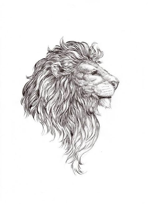 Uncle Tattoo, Jungle Tattoo, Images Noêl Vintages, Lion Drawing, Lion Tattoo Design, Theme Tattoo, Creation Art, Lion Art, Lion Tattoo