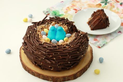 Bird Nest Cake, Easy Entertaining Food, Chocolate Taco, Nest Cake, Taco Cake, Campfire Cake, Delish Cakes, Easter Egg Cake, Patterned Cake