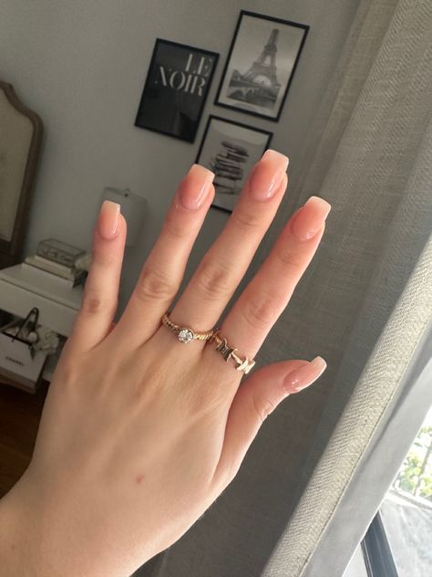 Sheer pink nails natural acrylic square tip light classic classy elegant simple nail design Suede Nails, Sheer Pink Nails, Natural Gel Nails, Soft Suede, Pink Nails, Nail Inspo, Tulips, Gel Nails, Nails