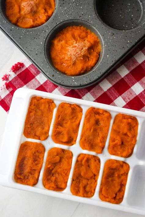 How to Freeze Leftover Canned Pumpkin Puree via @toasterovenlove Leftover Canned Pumpkin, Freezing Pumpkin, Preserving Pumpkins, Freezing Leftovers, Frozen Pumpkin, Leftover Pumpkin, Bread Cookies, Pumpkin Recipes Dessert, Organic Foods