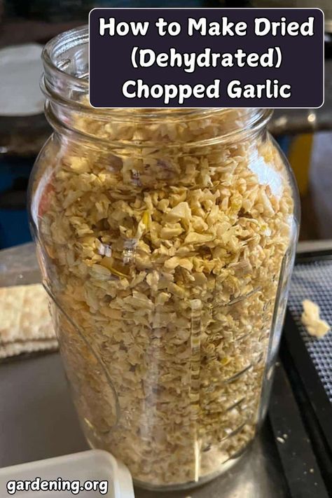 Want to preserve garlic in a flavorful way? Learn how to make dried chopped garlic with our easy guide and bonus seasoning recipes! How To Dry Garlic, Preserve Garlic, Curing Garlic, Dehydrated Garlic, Hardneck Garlic, Harvesting Garlic, Diy Compost, Garlic Seasoning, Chopped Garlic