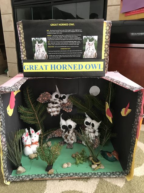 Owl Diorama, Great Horned Owl, Snowy Owl, School Help, Science Projects, School Projects, Arcade Games, Gaming Products