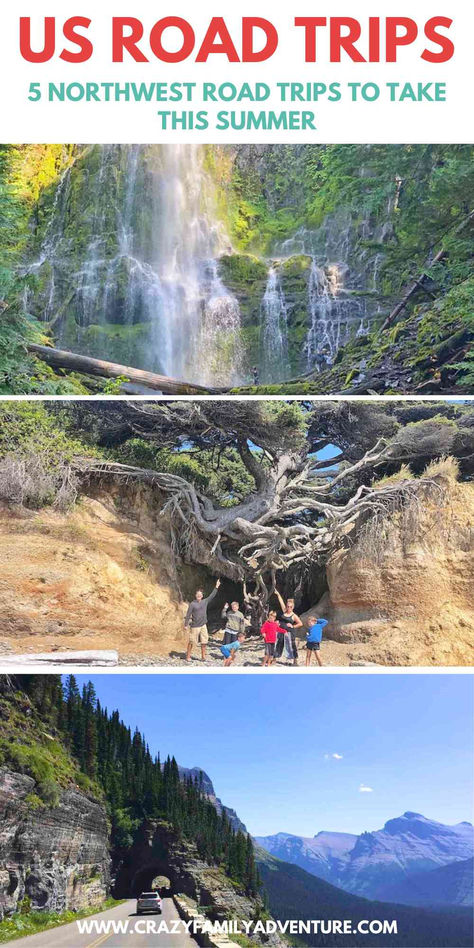 Picture of a waterfall, a family pointing at the roots of the tree of life and a car driving on the going to the sun road. Text reads: US Road Trips - 5 Northwest Road Trips To Take This Summer Summer Road Trip Ideas, Northwest Road Trip, Usa Road Trips, Family Travel Ideas, Road Trip Ideas, East Coast Road Trip, Road Trip Routes, National Park Road Trip, Us Road Trip