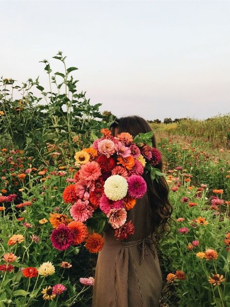 Nothing But Flowers, Flower Therapy, Bouquet Of Flowers, Flower Farm, Flower Child, Love Flowers, Cut Flowers, My Flower, Pretty Flowers