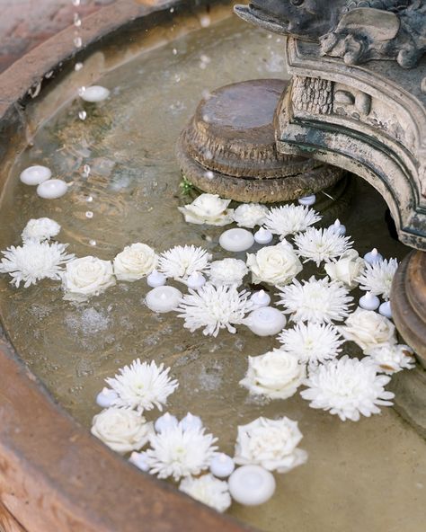 🌸 Ever wonder why flowers floating in a fountain look so effortlessly elegant? 🌼 It's like a dreamy dance of nature and water💫 Photo - @caitlinrosephoto #NatureMagic #AustinCharm #atxwedding #weddingflorist #wedding #weddingflowers #flowerlove #florist #weddingvendor #weddinginspo #inspo #trendingfloral #atxflorist #txflorist #georgetownflorist Flowers In Fountain, Fountain Florals, Floating Flowers Wedding, Wedding Florist, Wedding Vendors, Tablescapes, Wedding Inspo, Florist, Floral Wedding