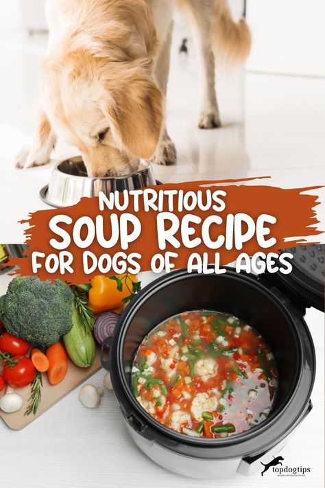 Nutritious Soup Recipe for Dogs of All Ages Dog Soup Recipe, Soup For Dogs, Dog Food Storage Diy, Dog Soup, Dog Food Bowl Stand, Nutritious Soup, Dog Food Recipes Crockpot, Dog Food Station, Make Dog Food