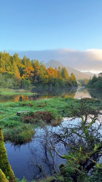 Visit Ireland on Instagram: "Ballynahinch Castle Recess, Connemara, Recess, Co. Galway #ballynahinch #ballynahinchcastle #foryou #viral #thisisgalway #visitgalway #connemara #castles" Ballynahinch Castle, Visit Ireland, Galway, Castle, On Instagram, Instagram