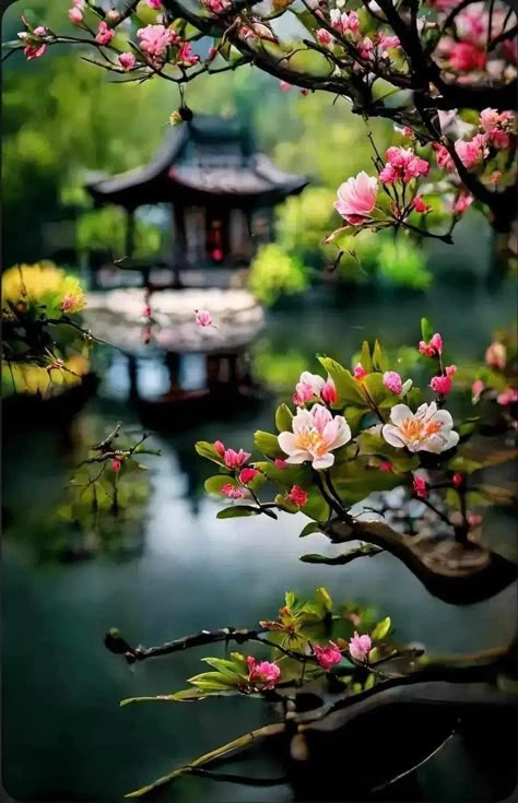 Pretty Flowers Photography, Beautiful Paintings Of Nature, Zen Wallpaper, Chinese Wallpaper, Floral Wallpaper Phone, Lovely Flowers Wallpaper, Beautiful Art Pictures, Wallpaper Nature Flowers, Fantasy Art Landscapes