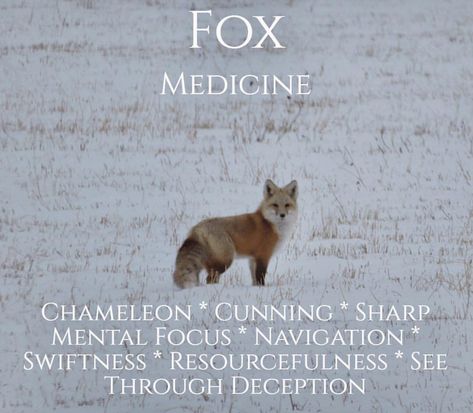 Fox Medicine 🌠 Fox Symbolism Meaning, Fox Meaning Spirit Animal, Red Fox Spiritual Meaning, Fox Meaning, Fox Meaning Spiritual, Seeing A Fox Meaning, Coyote Spiritual Meaning, Fox Spirit Animal, Fox Symbolism