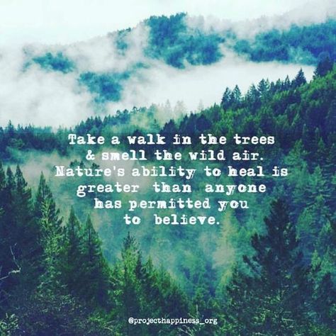 Take a walk in the trees and smell the wild air. Nature’s ability to heal is greater than anyone has permitted you to believe.  #tgif #natureqoutes #inspirationalqoutes #amazon #rainforest Citation Nature, Mountain Quotes, Collateral Beauty, Hiking Quotes, Adventure Quotes, Take A Walk, Nature Quotes, Quotable Quotes, Travel Quotes