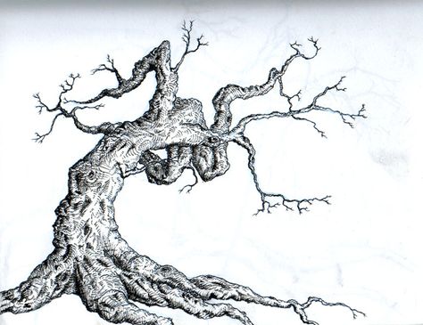 tree by LaughingTree.deviantart.com on @deviantART Ash Tree Tattoo, Tree Tat, Pine Tattoo, Rabe Tattoo, Tree Tattoo Back, Tattoo Tree, Pine Tree Tattoo, Tree Drawings Pencil, Fairy Tattoo Designs