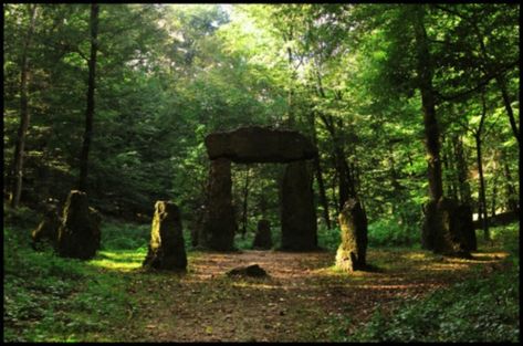 Sacred Grove, Celtic Druids, Sacred Groves, Celtic Goddess, Standing Stone, The Romans, Witch Books, Woodland Garden, Nature Tree