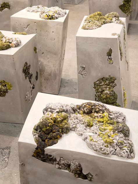 dana barnes references lichen life for endolith casts seating series Moss Growing, New York Design, Cement Art, Concrete Art, International Design, Design Week, Sculpture Installation, Natural Forms, Land Art