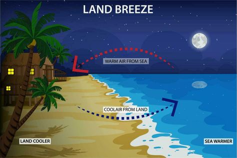 Land breeze blows from land to sea at night Life On Land Poster, A Lull In The Sea Gif, Sea Breeze And Land Breeze Diagram, Land Movie 2021, Sea At Night, Land And Sea, Tree Saw, Wedding People, Cityscape Photos