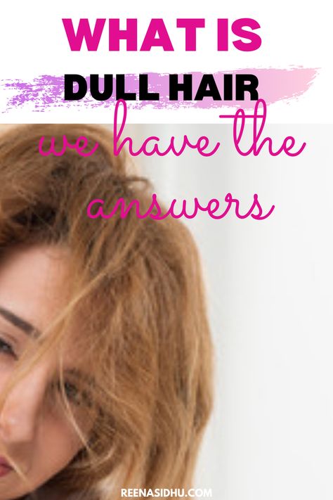 What Is Dull Hair. Here are everything you need to know and tip for you Blonde Hair Care Tips, How To Keep Blonde Hair Healthy, How To Take Care Of Highlighted Hair, How To Get Matted Hair Untangled, How To Keep Hair Untangled All Day, Choppy Shag Hairstyles Medium, Cherry Wine Hair Color Burgundy, Brassy Hair, Silver Haired Beauties