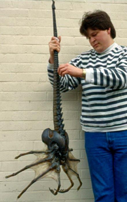 ALIEN on EARTH straight out of the movie! scientists  discovered the body of a giant sea spider like organism in antarctic waters. the origin of this species is unknown, and it is unclear... Giant Sea Spider, Sea Spider, Weird Creatures, Sea Monsters, Ancient Aliens, Ocean Creatures, Weird Animals, Weird And Wonderful, Spiders