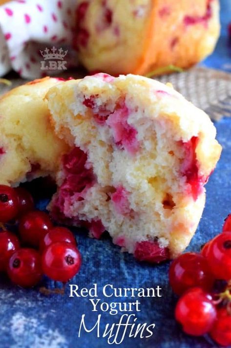 Muffins Yogurt, Red Currant Recipe, Currant Recipes, Yogurt Muffins, Red Currant, Brunch Menu, Modest Swimwear, Food Shows, Muffin Recipes