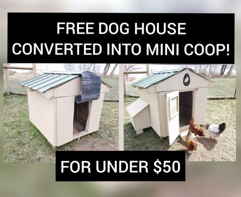 Dog House Chicken Coop, Chicken Coop Makeover, Mini Chicken Coop, Silkie Chickens Coop, Chicken Coop Diy, House Chicken Coop, Plastic Dog House, Wood Dog House, Small Chicken Coops