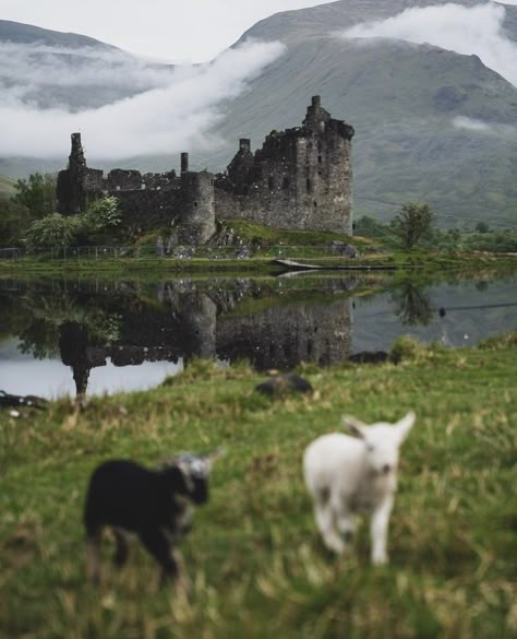 Dunlough Castle, Landscape Scotland, Irish Highlands, Medieval England Aesthetic, Scottish Nature, Welsh Castle Aesthetic, Kilchurn Castle Scotland, Dark Irish Aesthetic, Medieval Scottish Aesthetic