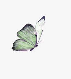 Green Pngs Aesthetic, Green Butterfly Aesthetic, Green Pngs, Butterfly Icons, Wing Png, Butterfly Icon, Carrd Png, Green Butterflies, Green Png