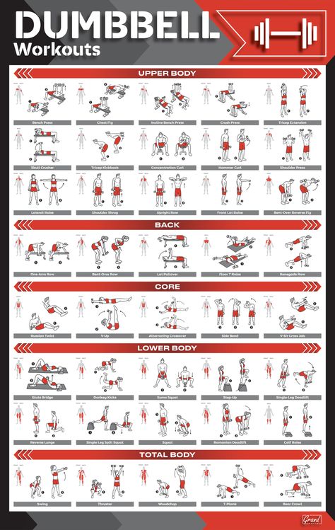 Images By Artem Ainsley On Gutes Training In 2020 AC6 Dumbbell Workout Routine, Dumbbell Workout Plan, Exercise Poster, Kettlebell Workout Routines, Gym Posters, Sandbag Workout, Posters Motivational, Dumbbell Workout At Home, Home Gym Exercises