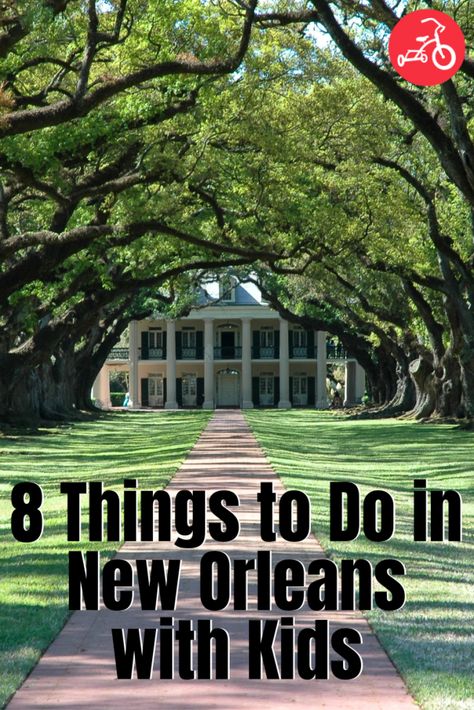 Things To Do In New Orleans With Kids, New Orleans Kids, New Orleans With Kids, New Orleans Vacation, Louisiana Travel, Usa Trip, Southern Life, Things To Do With Kids, Kids Vacation